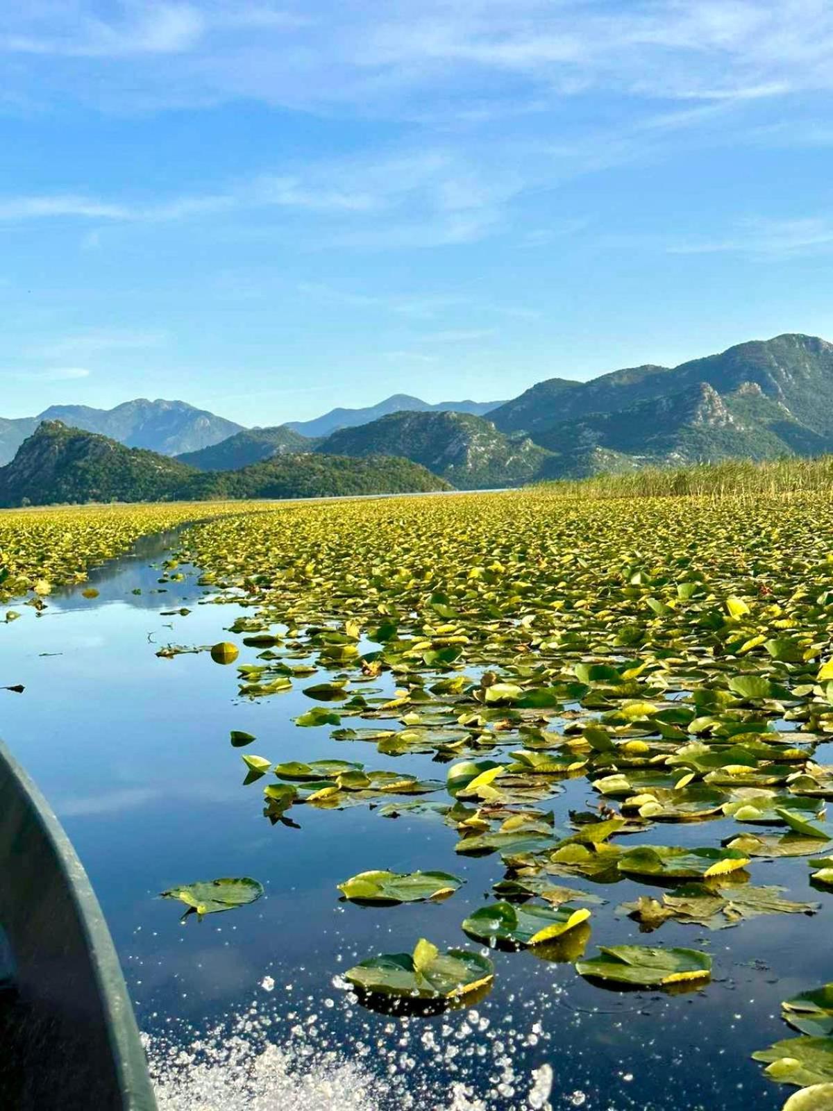 Casa Di Kiara, Skadar Lake Dodosi Екстериор снимка